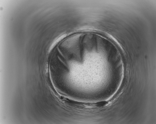 X0000087401461200705042023