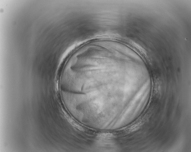 X0000087401462200705042023