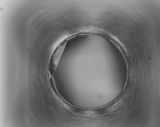 X0000087401463200705042023