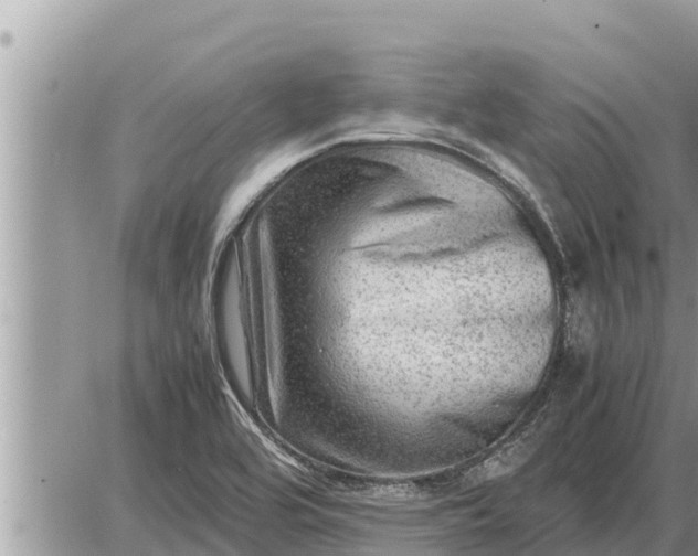 X0000087401464200705042023