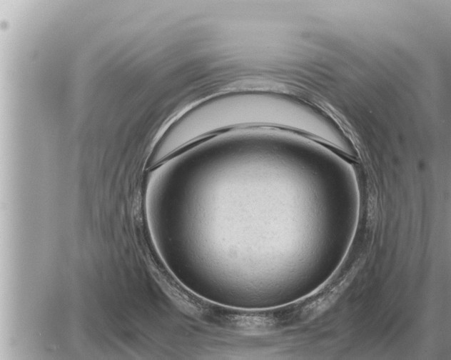 X0000087401465200705042023