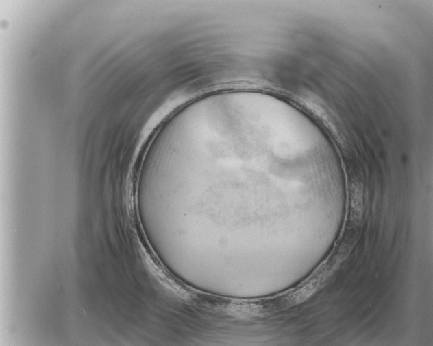 X0000087401466200705042023