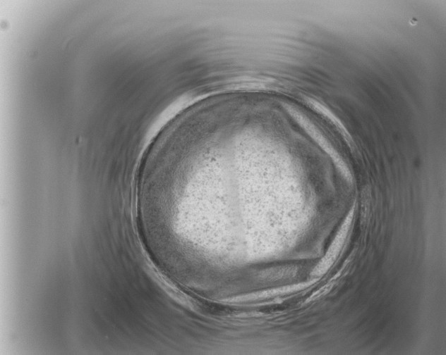 X0000087401467200705042023