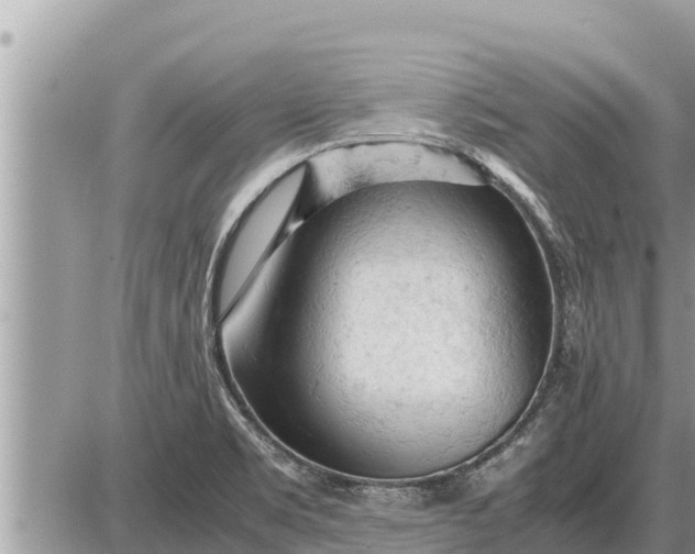 X0000087401469200705042023