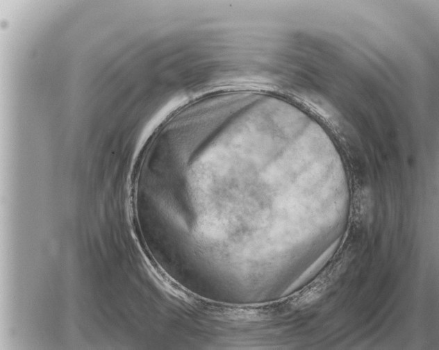 X0000087401470200705042023