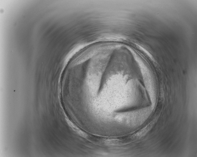 X0000087401471200705042023