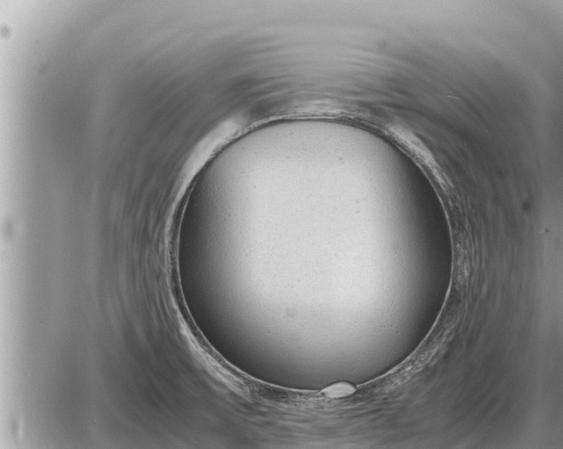 X0000087401475200705042023