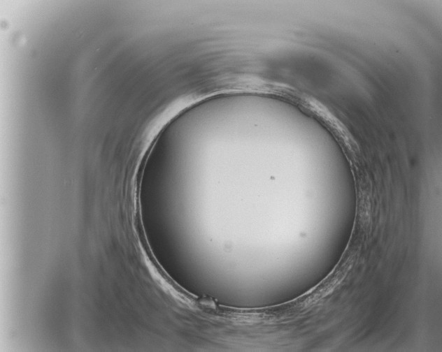 X0000087401479200705042023