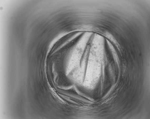 X0000087401480200705042023