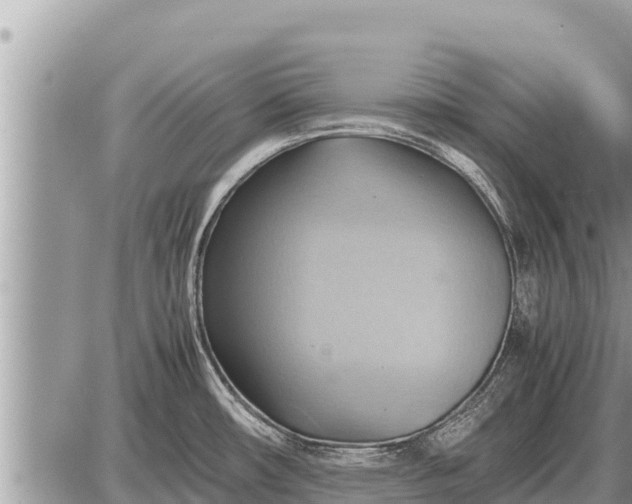 X0000087401482200705042023