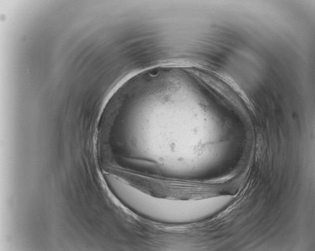 X0000087401484200705042023