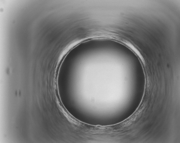 X0000087401485200705042023