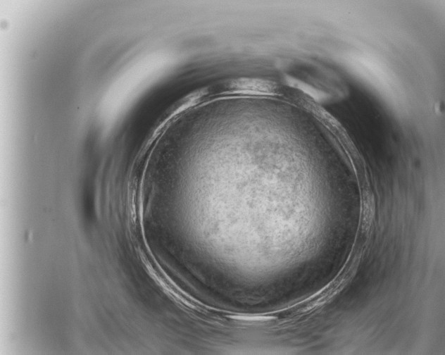 X0000087401487200705042023