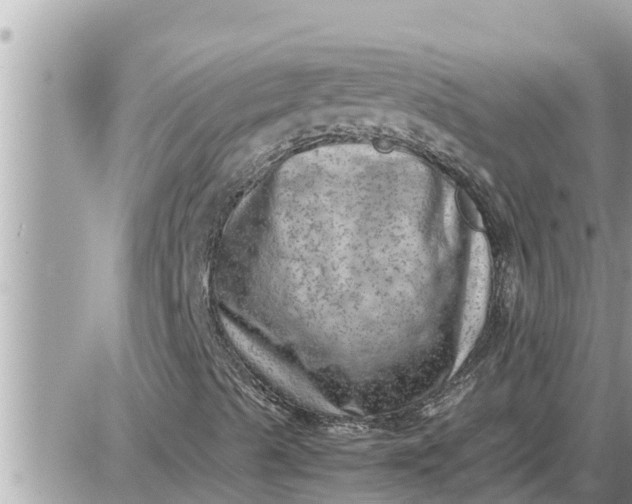 X0000087401489200705042022