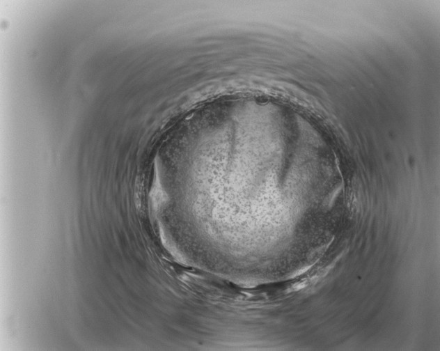 X0000087401490200705042022