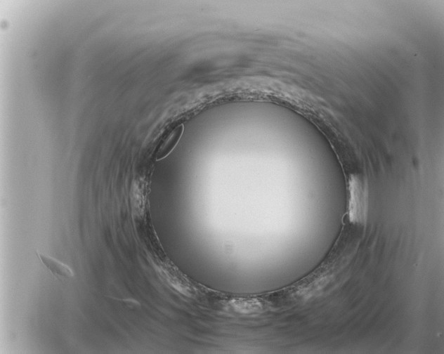 X0000087401491200705042022