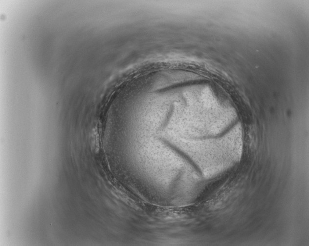 X0000087401493200705042022