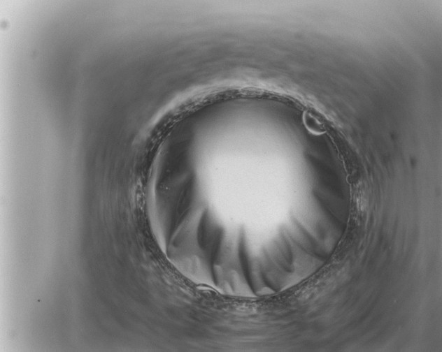 X0000087401495200705042022