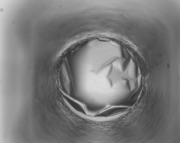 X0000087401496200705042022