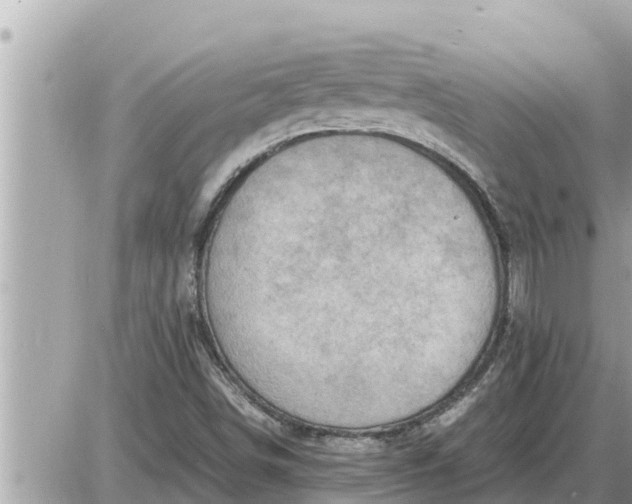 X0000087401498200705042022