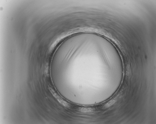 X0000087401499200705042022