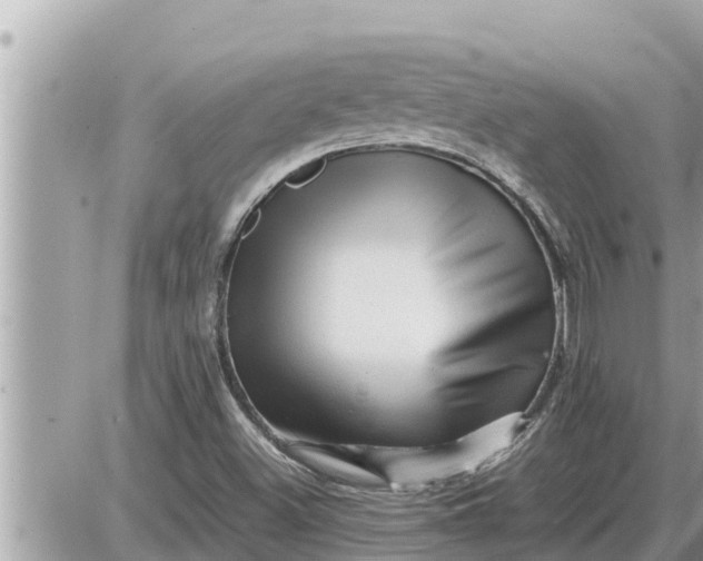 X0000087401500200705042022