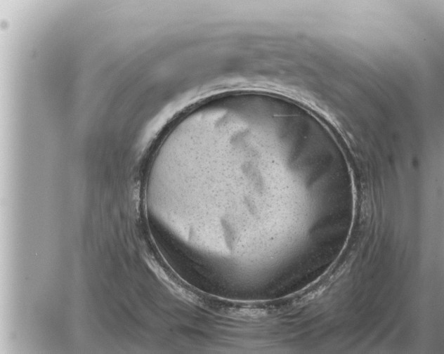 X0000087401503200705042022