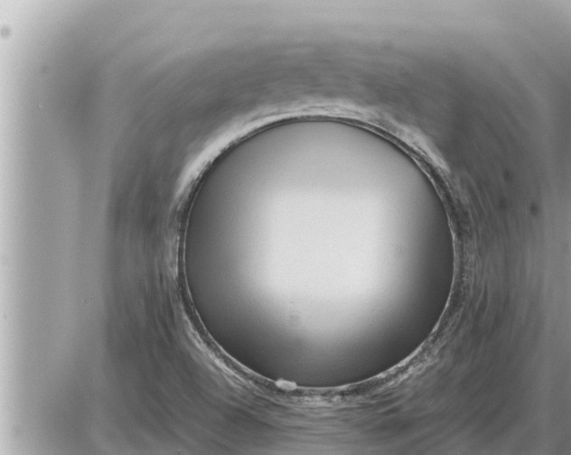 X0000087401504200705042022