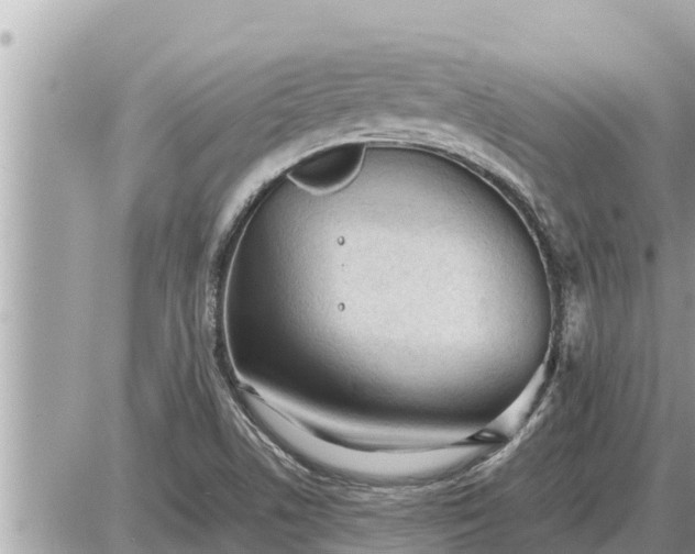 X0000087401506200705042022