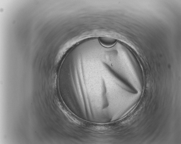 X0000087401507200705042022