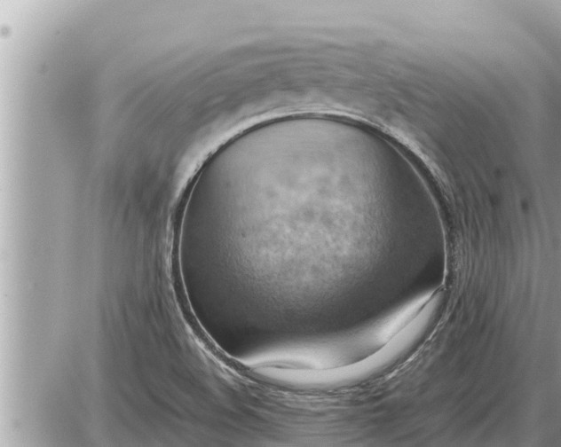 X0000087401508200705042022