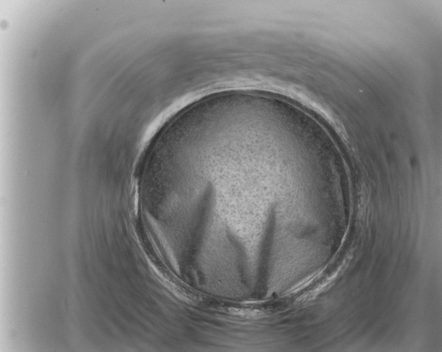 X0000087401509200705042022