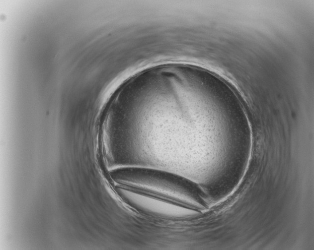 X0000087401511200705042022