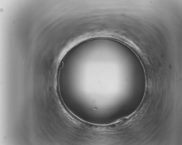 X0000087401512200705042022