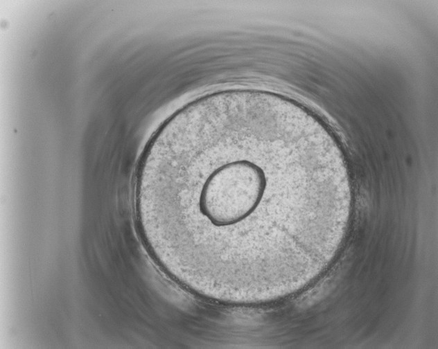 X0000087401514200705042022