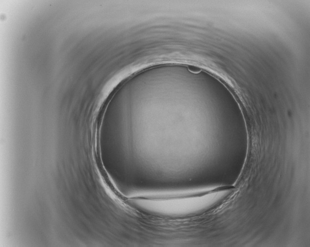 X0000087401515200705042022