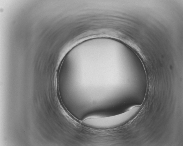 X0000087401516200705042022