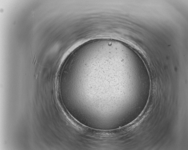 X0000087401517200705042022