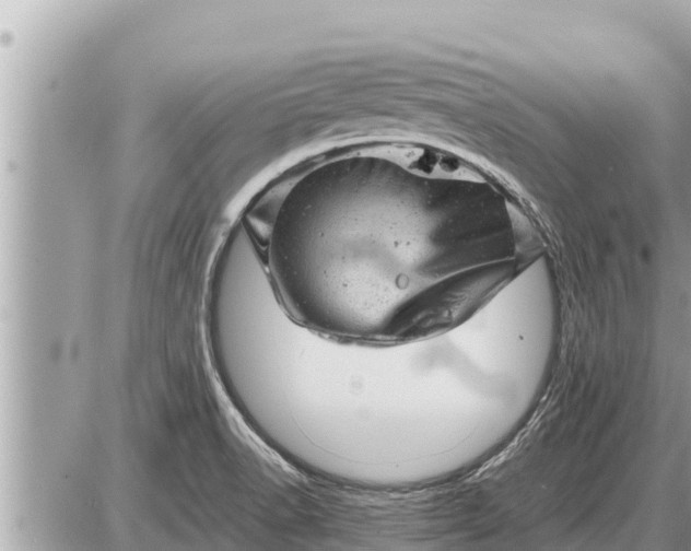 X0000087401518200705042022