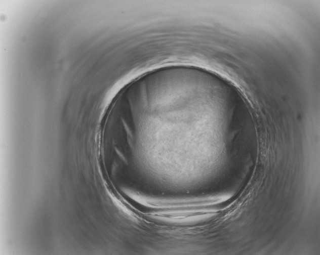 X0000087401519200705042022