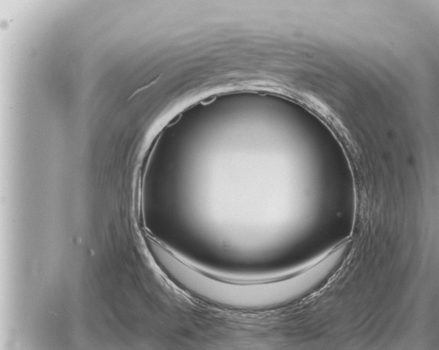 X0000087401520200705042022