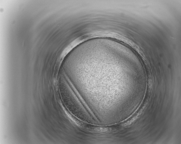 X0000087401521200705042022