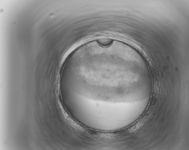 X0000087401522200705042022