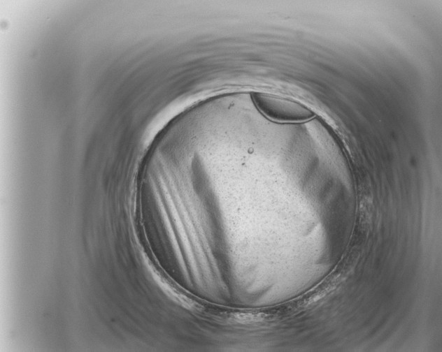 X0000087401523200705042023