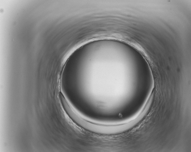 X0000087401524200705042023