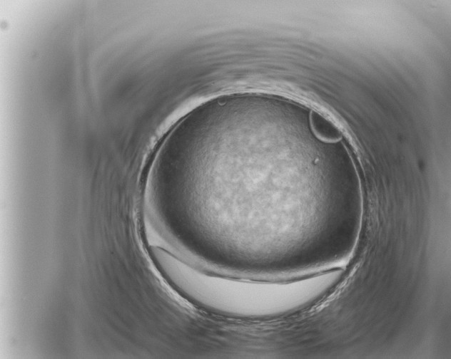 X0000087401525200705042023