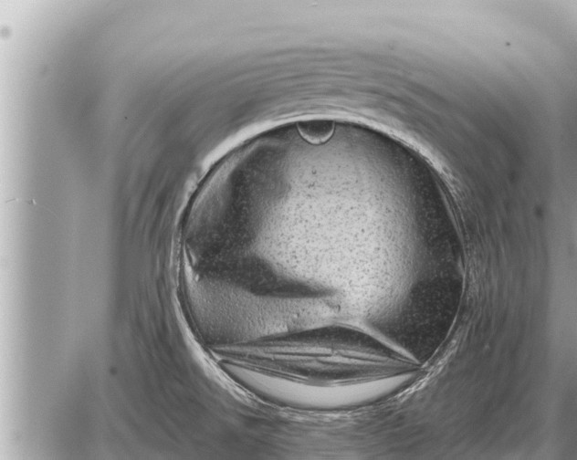 X0000087401526200705042023