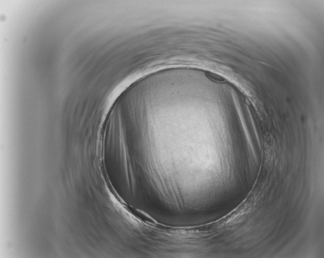 X0000087401527200705042023