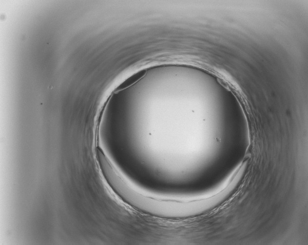 X0000087401528200705042023