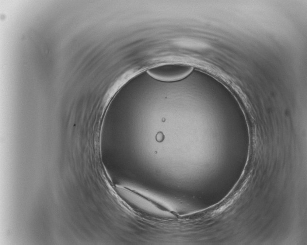 X0000087401529200705042023